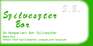 szilveszter bor business card